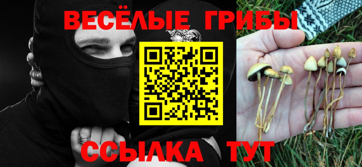 Избербаш  Псилоцибиновые грибы Magic Shrooms  Вход с VPN 