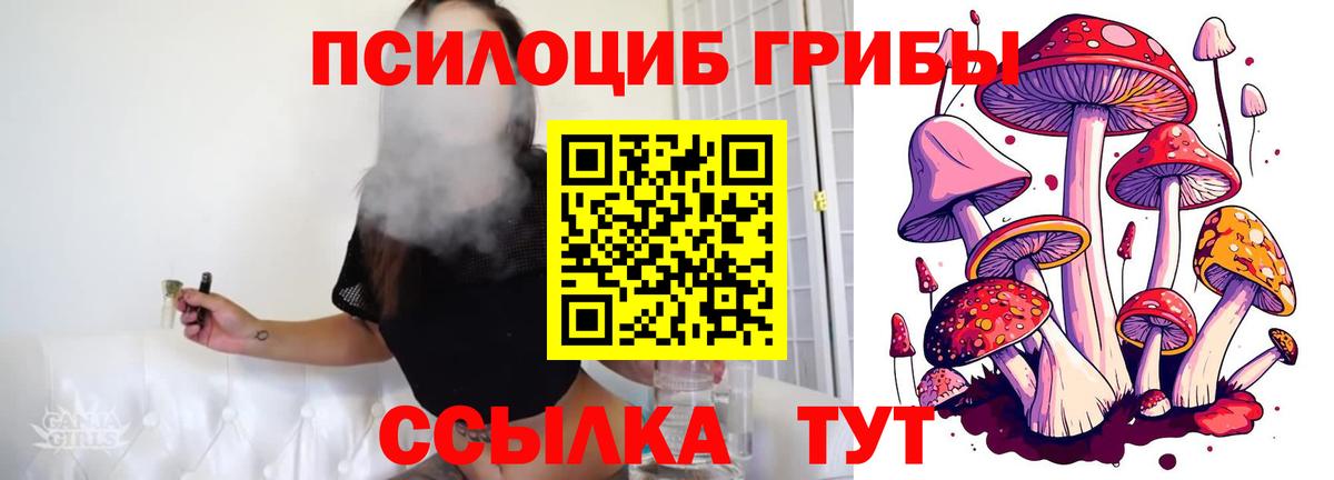 Галлюциногенные грибы мицелий Избербаш