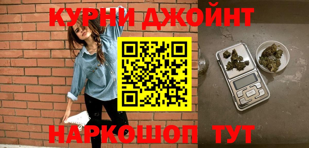Конопля сатива Избербаш